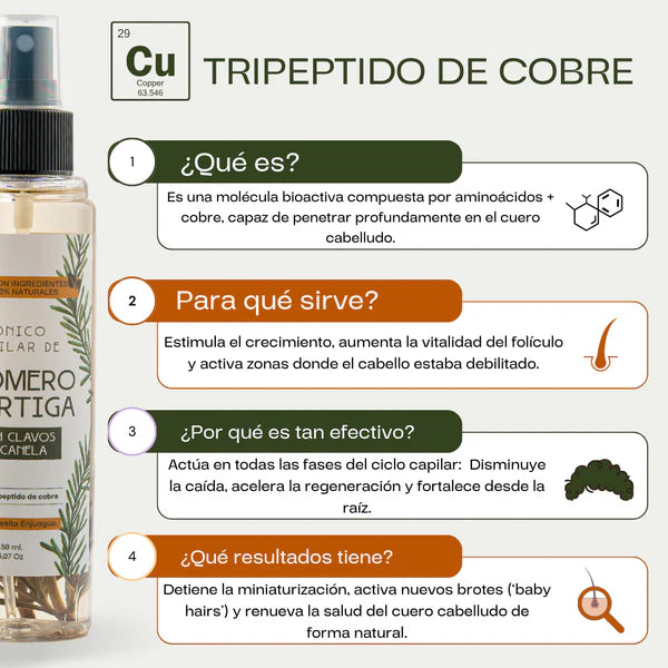 Protocolo Intensivo Anticaída